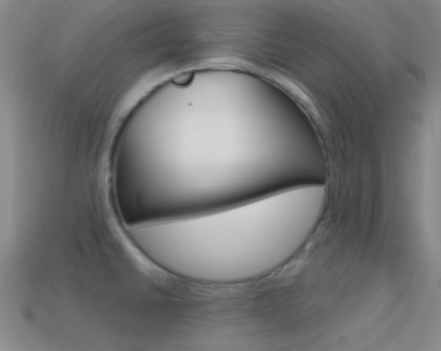 X0000114581430200910191045