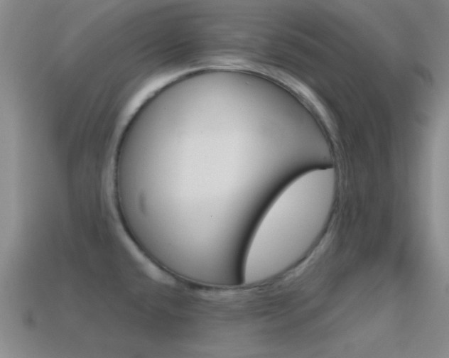 X0000114581432200910191045