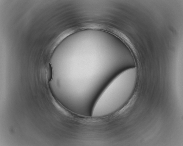 X0000114581433200910191045