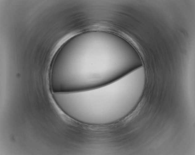 X0000114581434200910191045