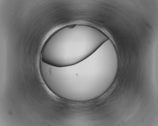 X0000114581438200910191045