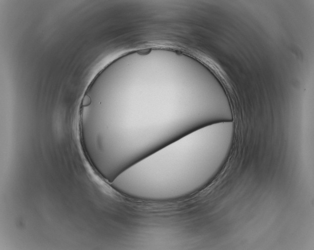 X0000114581439200910191045