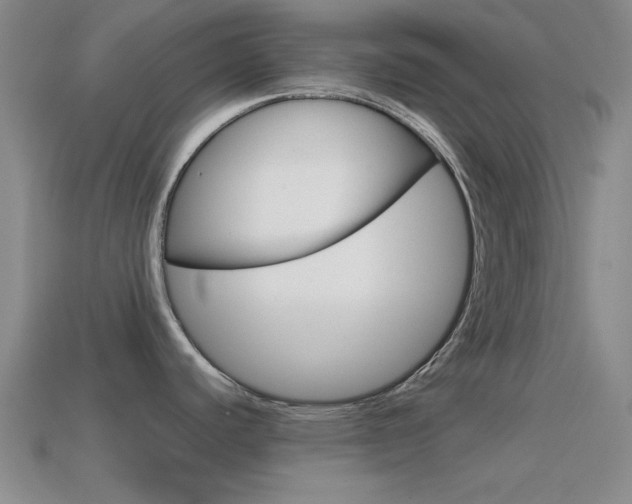 X0000114581440200910191045