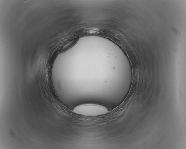 X0000114581442200910191044