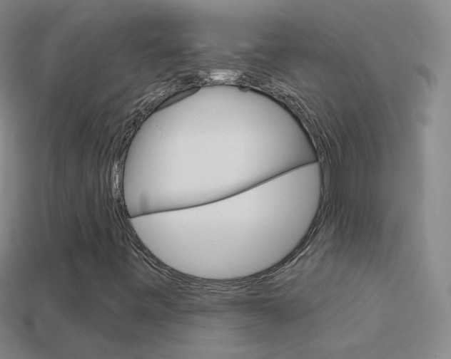 X0000114581443200910191044
