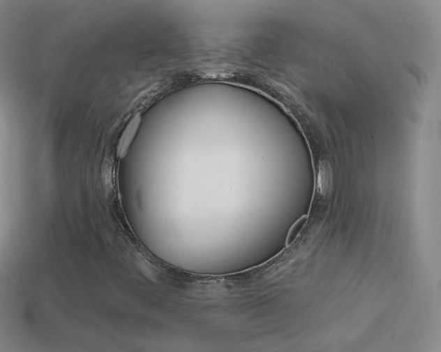 X0000114581444200910191044