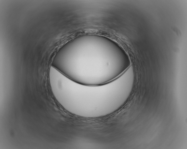 X0000114581445200910191044