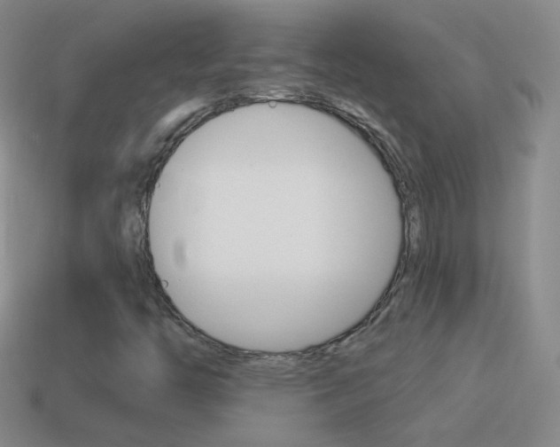 X0000114581446200910191044