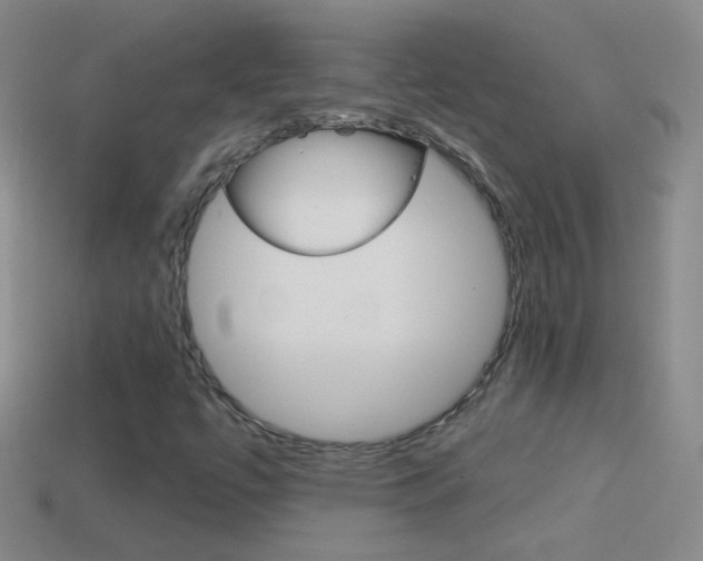 X0000114581447200910191044