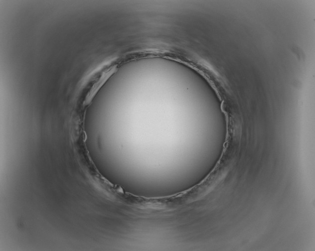 X0000114581448200910191044