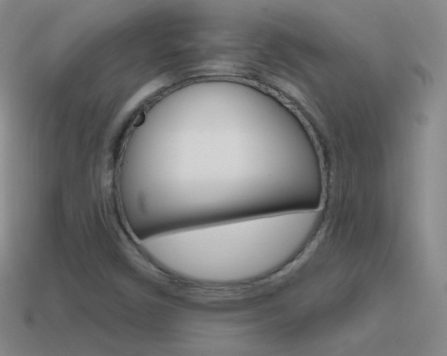 X0000114581450200910191044