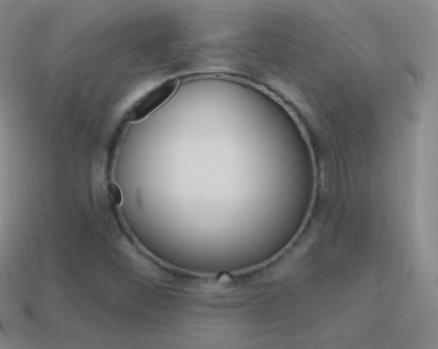X0000114581452200910191044