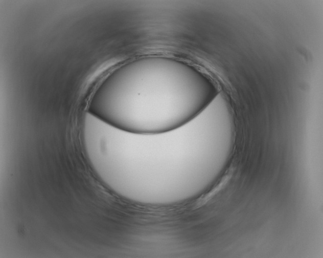 X0000114581453200910191044
