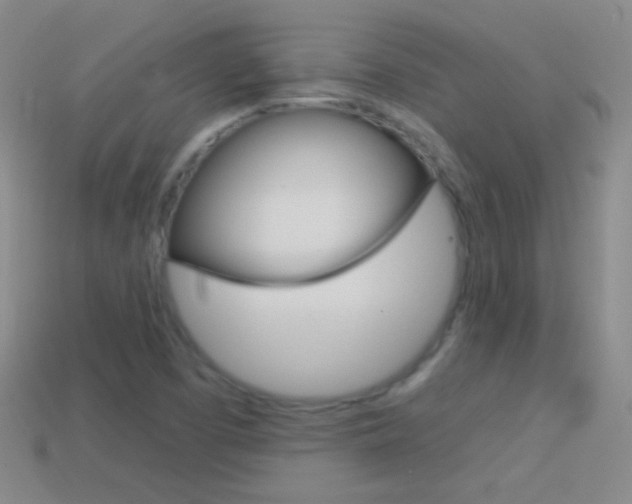 X0000114581457200910191044