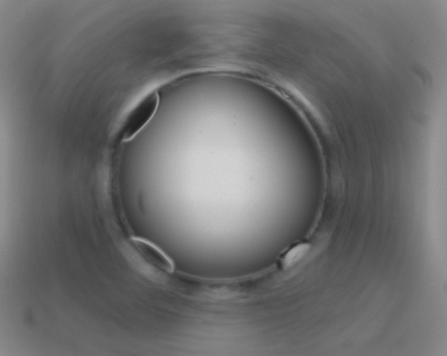 X0000114581460200910191044
