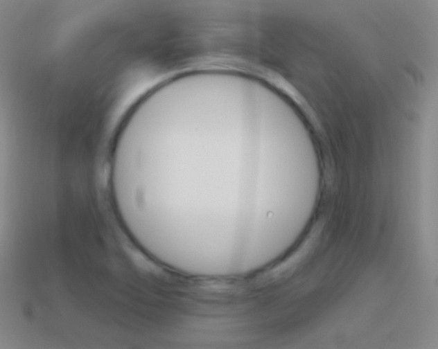 X0000114581462200910191044