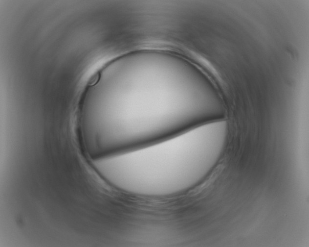 X0000114581463200910191044