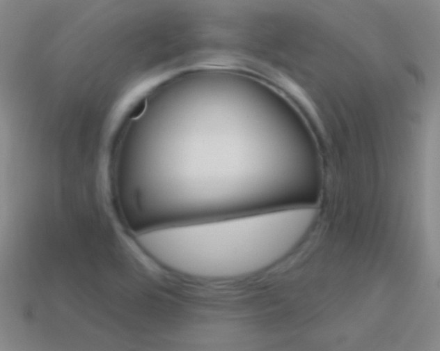 X0000114581464200910191044