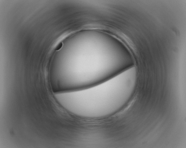 X0000114581465200910191044