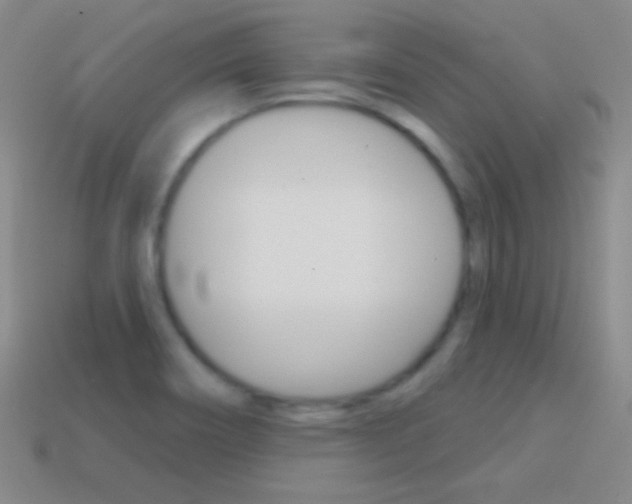 X0000114581466200910191044