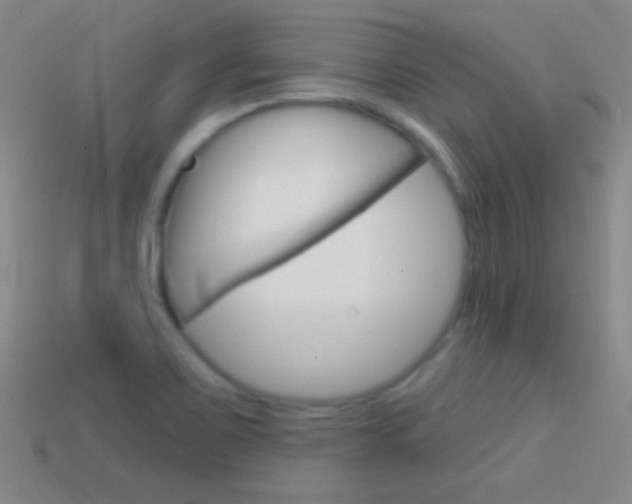 X0000114581467200910191044