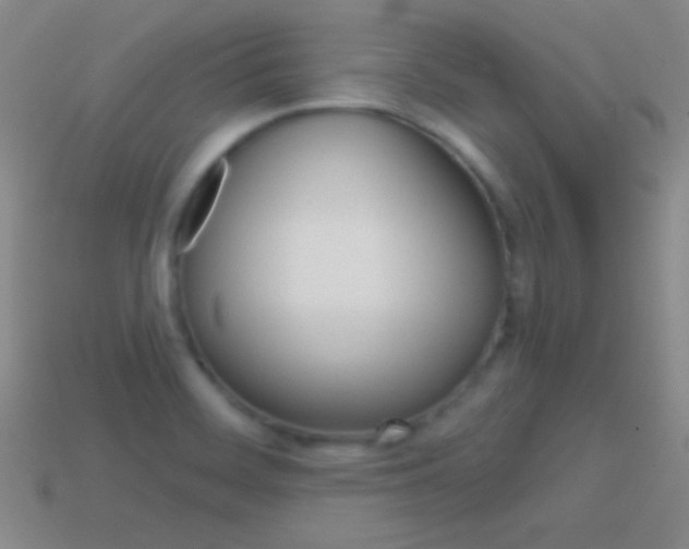 X0000114581468200910191044