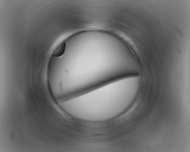 X0000114581469200910191044