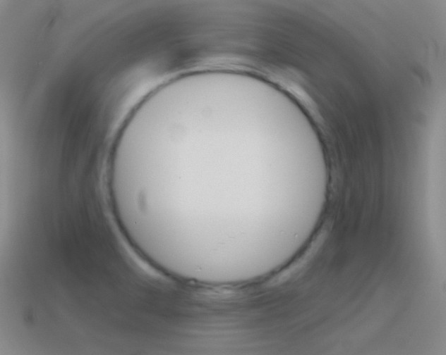 X0000114581470200910191044