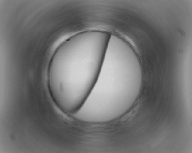 X0000114581471200910191044