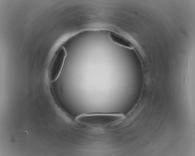 X0000114581472200910191044