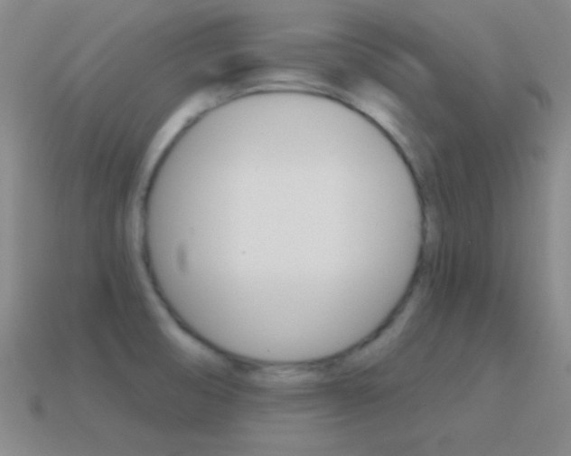 X0000114581474200910191044