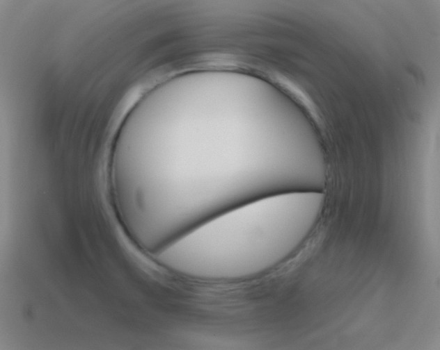 X0000114581475200910191044