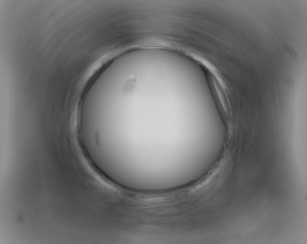 X0000114581477200910191044