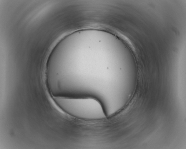 X0000114581479200910191044