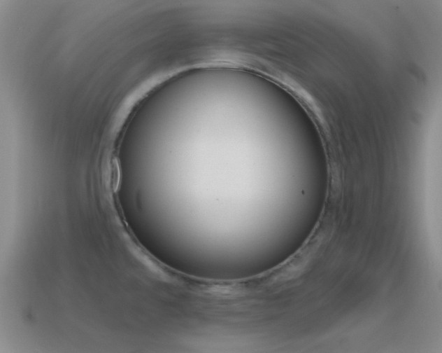 X0000114581480200910191044
