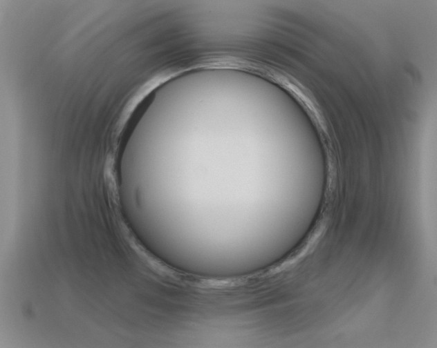 X0000114581481200910191044