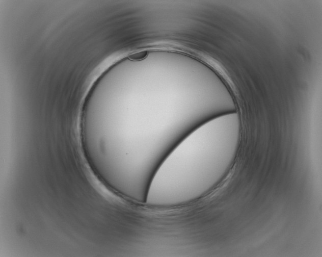 X0000114581482200910191044