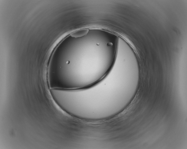 X0000114581484200910191044