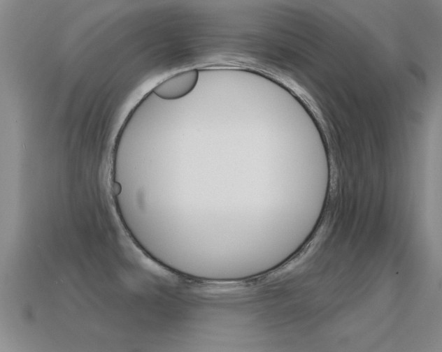 X0000114581486200910191044