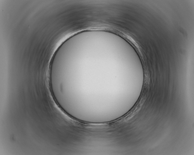 X0000114581487200910191044