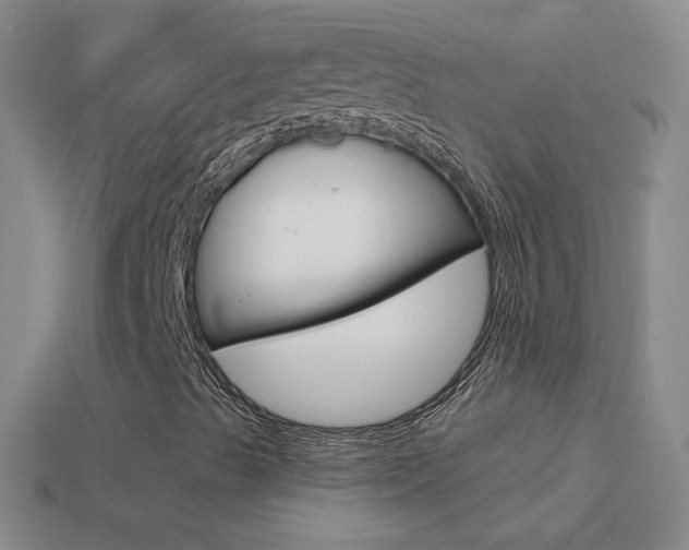 X0000114581489200910191043