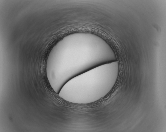 X0000114581490200910191043