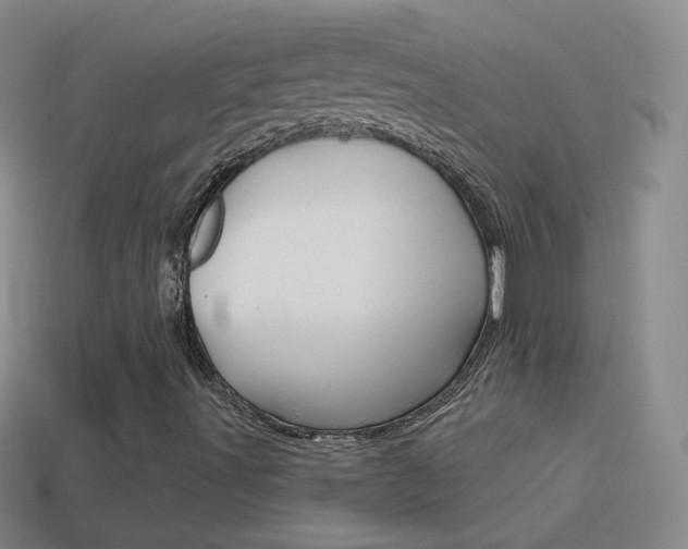 X0000114581491200910191043