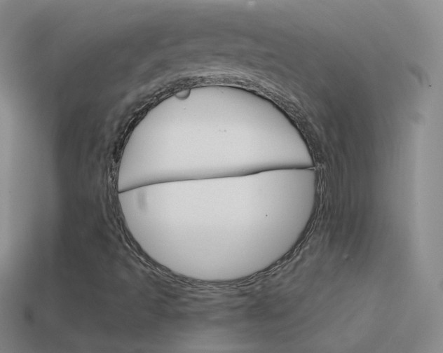 X0000114581493200910191043