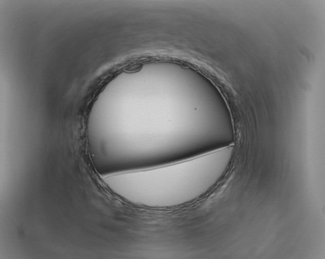 X0000114581494200910191043