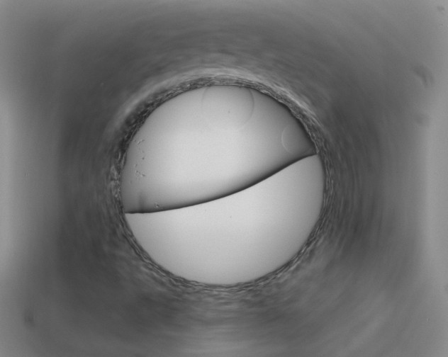 X0000114581495200910191043