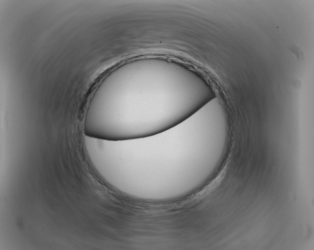 X0000114581497200910191043