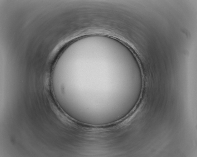 X0000114581499200910191043