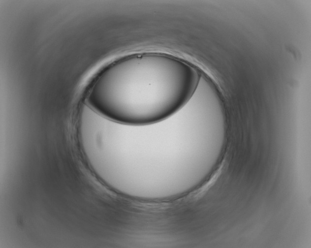 X0000114581502200910191043