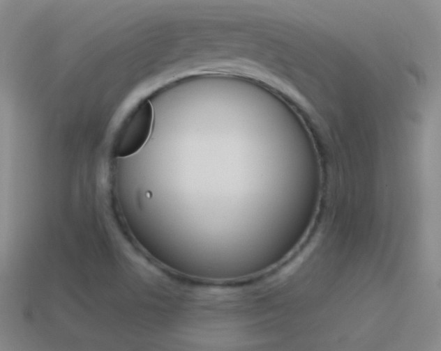 X0000114581506200910191043